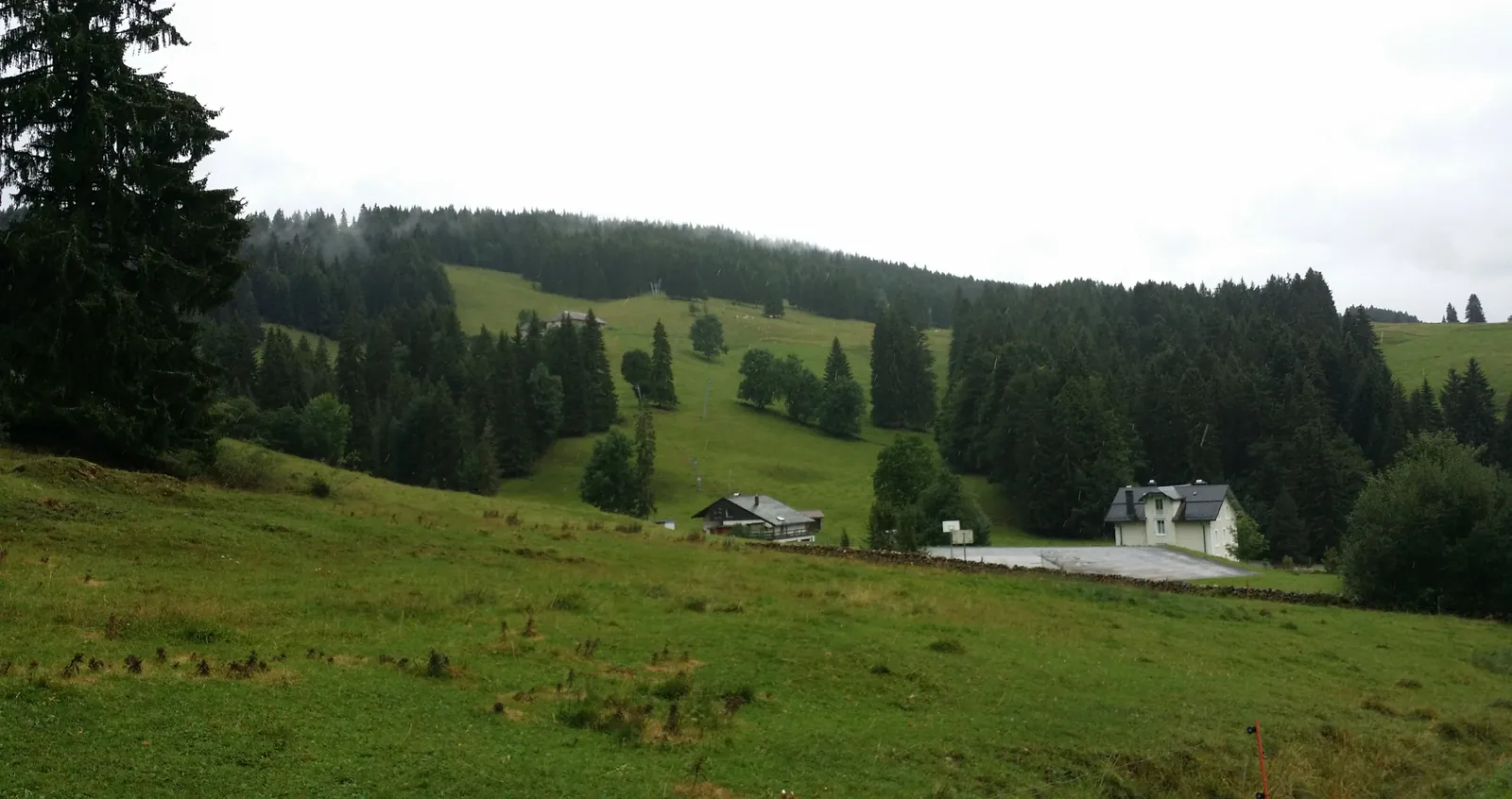 Misty forested pastures above Le Brassus in the Vallée de Joux